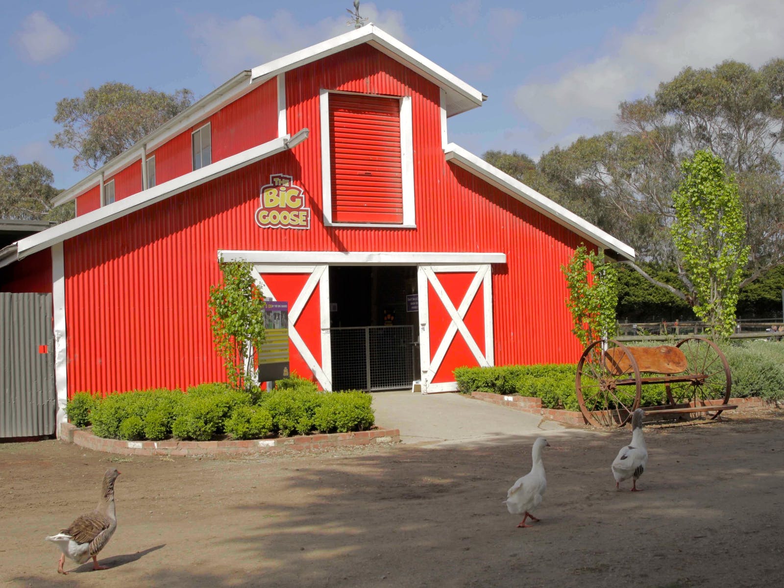 A big red barn that is the Big Goose. 