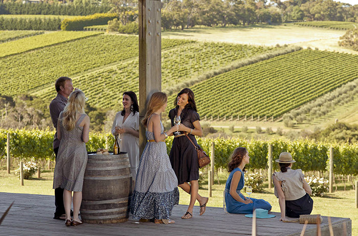 Group of people enjoying a wine in front of rolling vineyards.