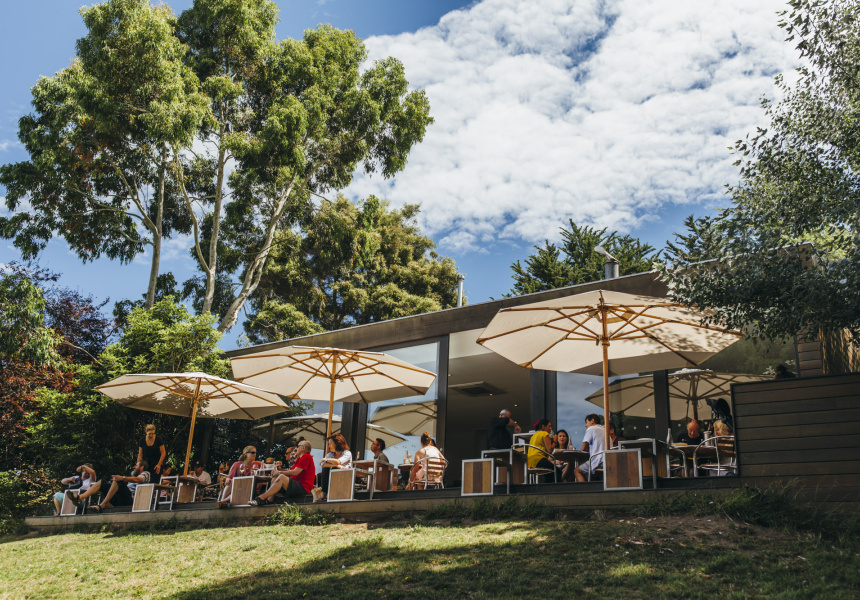A wide range of customers enjoying an outdoor meal at Foxey's Hangout, sheltered by sun umbrellas and a large tree.