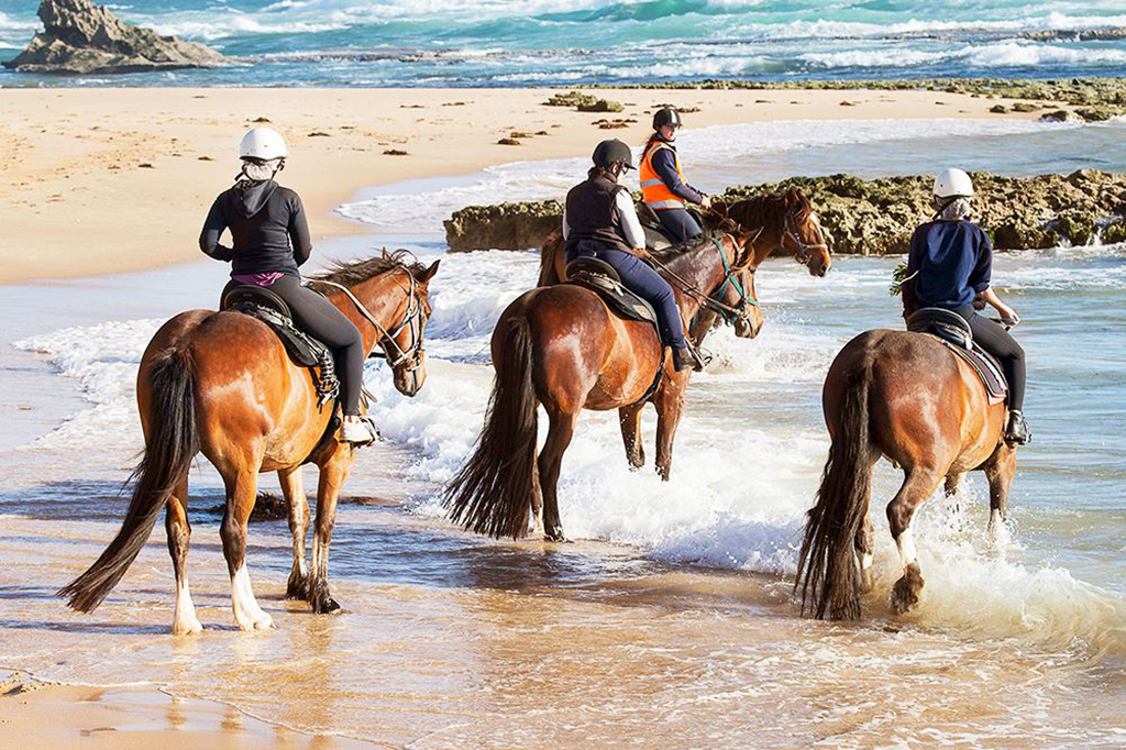 Four women ride horses through the shallow waters of Gunnamatta Beach.