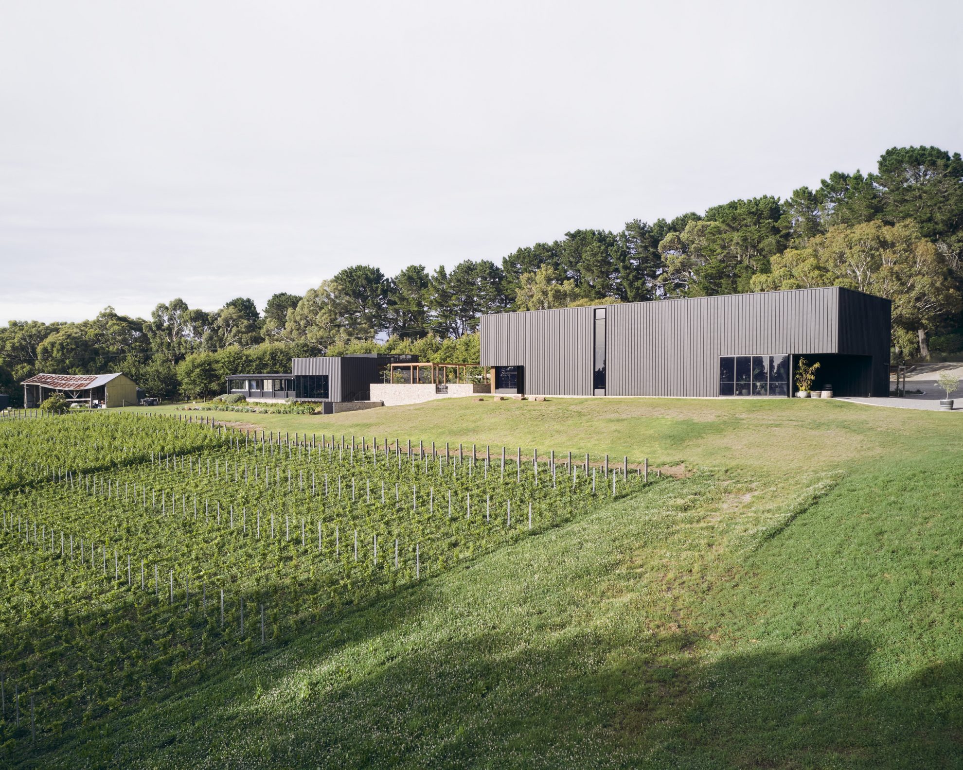 A landscape of vineyards in front of a dark modern building that is Ten Minutes by Tractor..